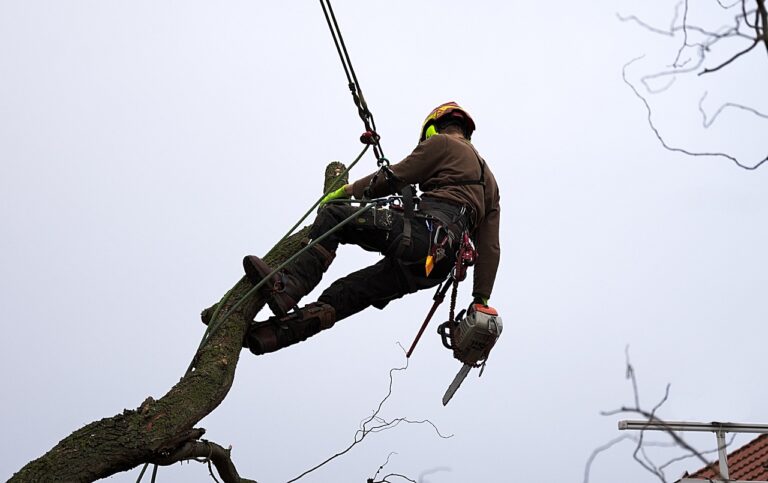 Salary Insights: Construction Workers in Japan